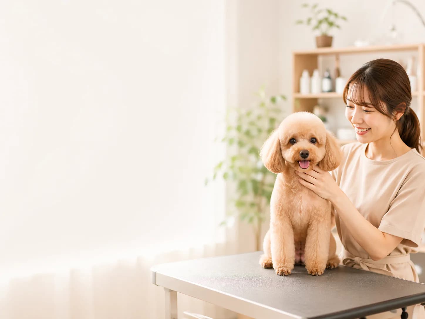 トリミングサロンで犬を整えるスタッフ
